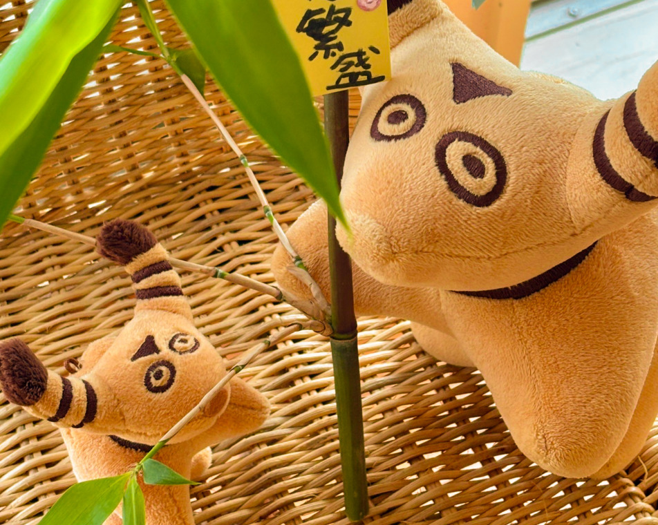 七夕